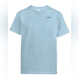 Patagonia Light Blue Short Sleeve Tee